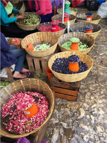 Varieties of beans at a local market in Chiapas, Mexico (credit: Marcela Mendoza) Varieties of beans at a local market in Chiapas, Mexico (credit: Marcela Mendoza)