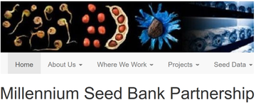 Msbp seedbank msbp seedbank